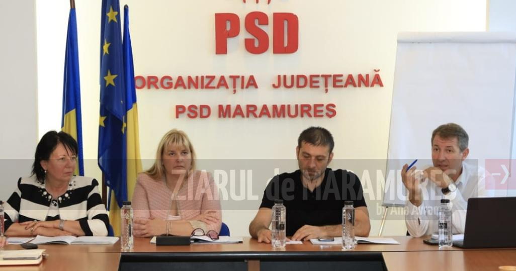 Proiectele de lege ale educației dezbătute în sediul PSD Maramureș