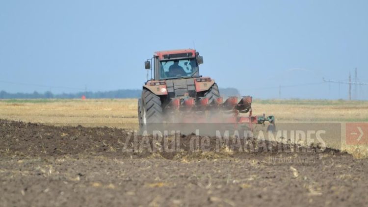 Au început plățile pentru fermierii din sectorul cerealelor și semințelor oleaginoase afectați de creşterea importurilor din Ucraina