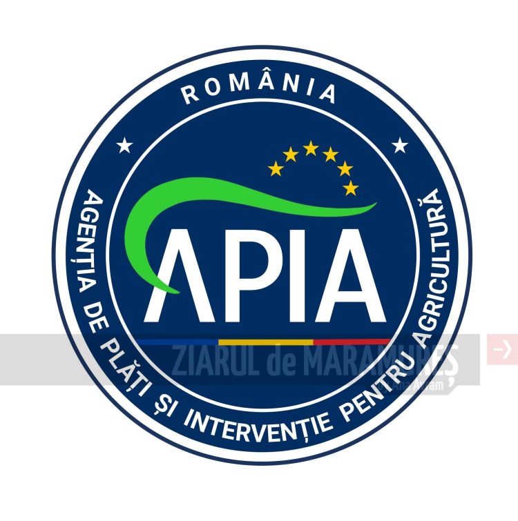 APIA: Precizări importante privind Măsura 1 „Microgranturi în domeniul agroalimentar”