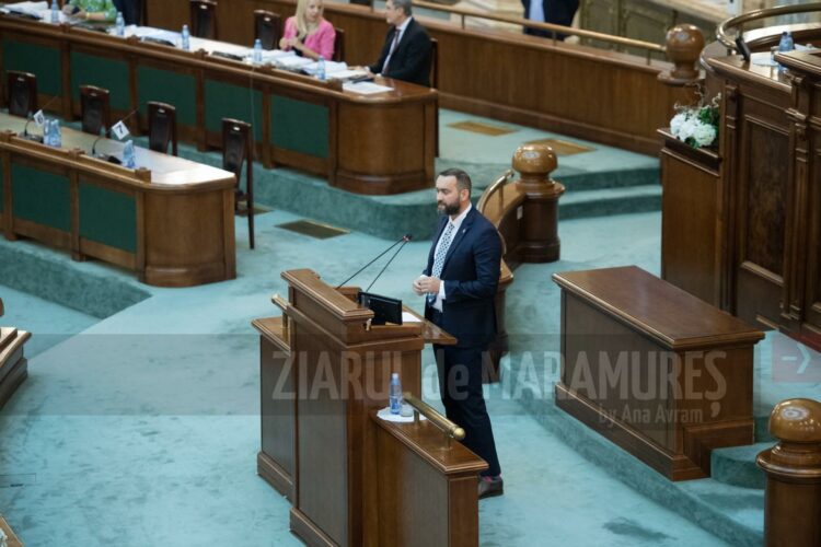Senatorul Cristian Niculescu Țâgârlaș a susținut OUG 119 care prevede plafonarea prețurilor la energie
