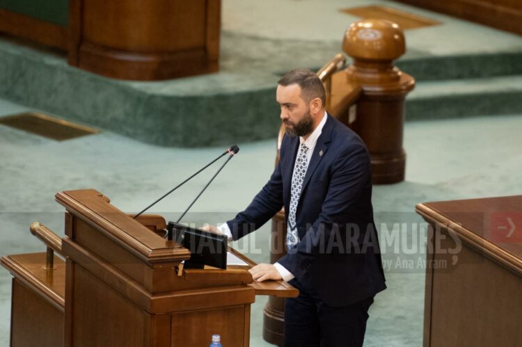 Cristian Niculescu Țâgârlaș, senator: Mamele cu afecțiunea post-partum vor fi adăugate ca beneficiari ai programelor medicale
