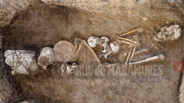 Urme de opiu din secolul al XIV-lea, descoperite într-un mormânt din Israel