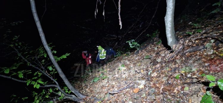 Persoane rătăcite în pădurile din zona localităților Fărcașa și Băiuț. Cele două persoane au fost la cules de ciuperci