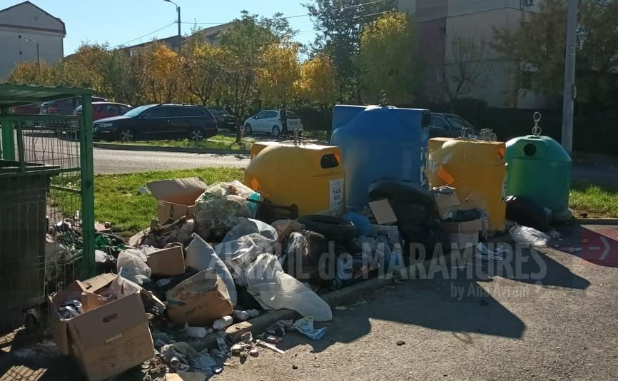 ADI Deșeuri Maramureș: Reciclabilele NU se depozitează în containerele de la punctele îngrădite