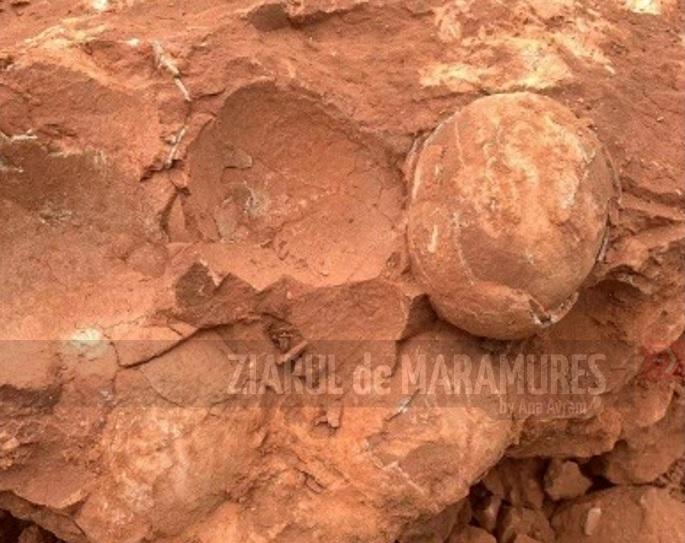 Ouă de dinozaur cu o vechime de 80 de milioane de ani, descoperite în centrul Chinei