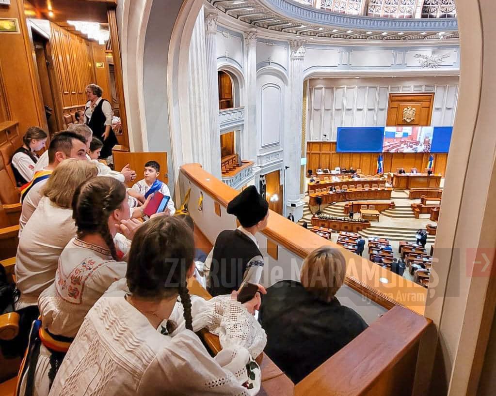 Călin Bota, deputat: Un strop din istoria și tradițiile din Țara Codrului în fața plenului Camerei Deputaților