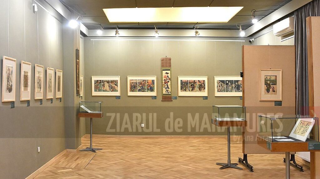 Marți, 24 ianuarie, Centrul Artistic Baia Mare este deschis pentru public