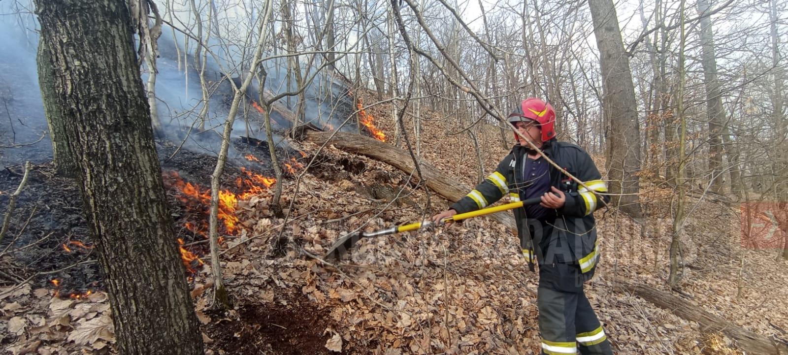29 de pompieri intervin pe Dealul Crucii pentru lichidarea unui incendiu de vegetație uscată