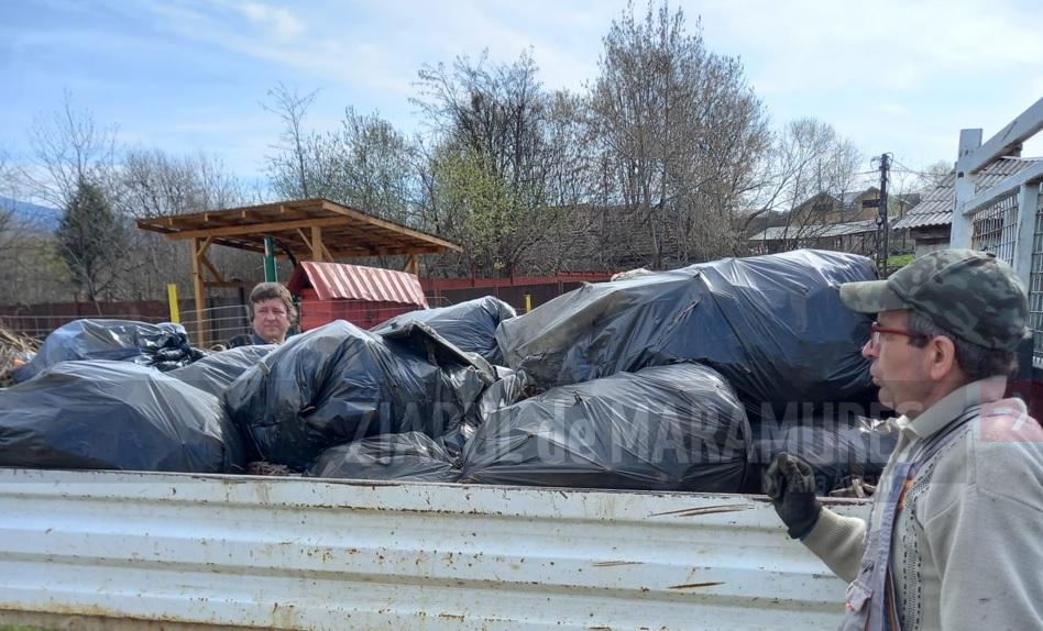 Baia Sprie: 26 de saci de gunoi/zi strânse de pe malurile râului Săsar (medie)