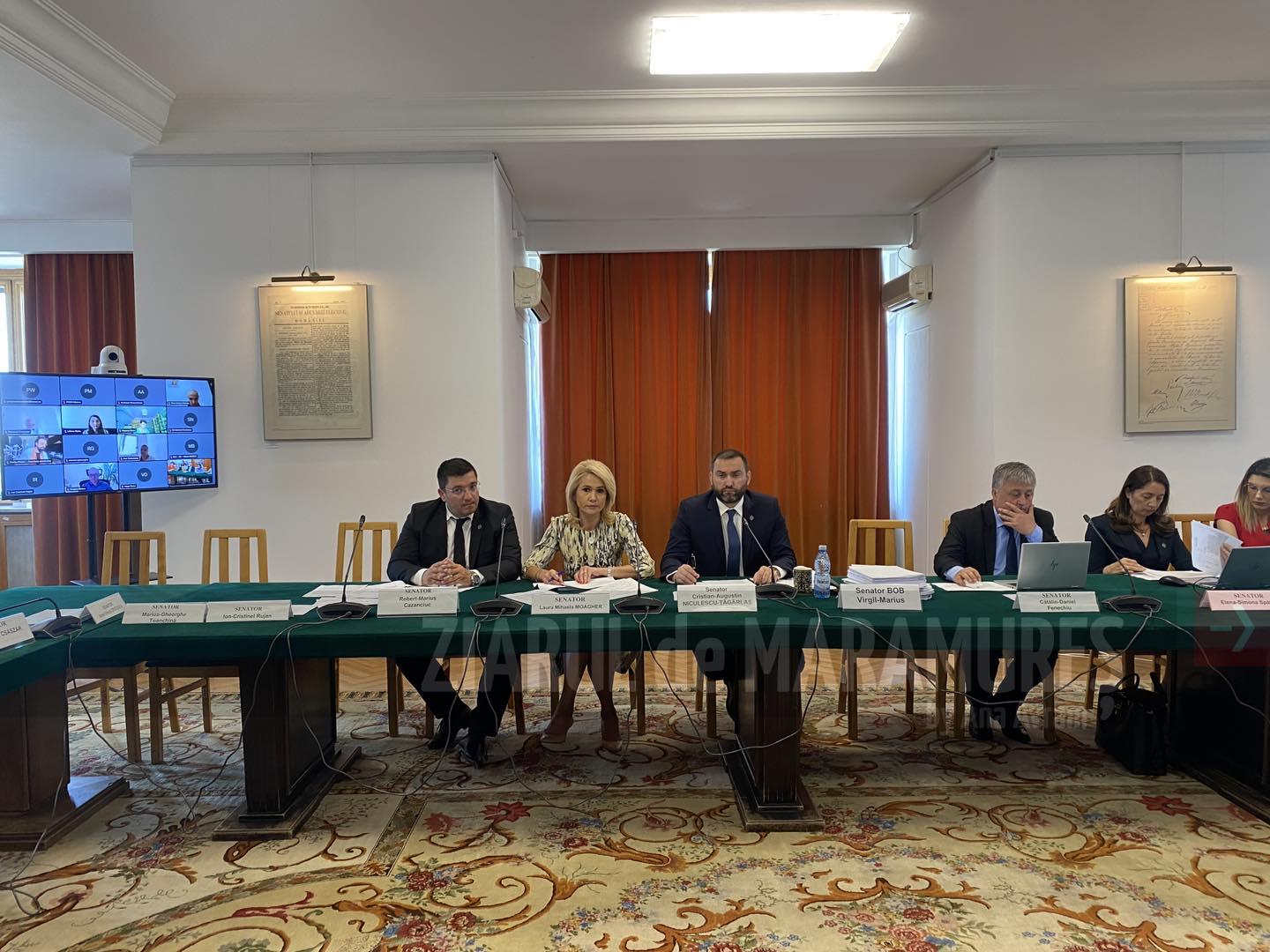 Profesia de analist comportamental dezbătută în Comisia Juridică din Senatul României
