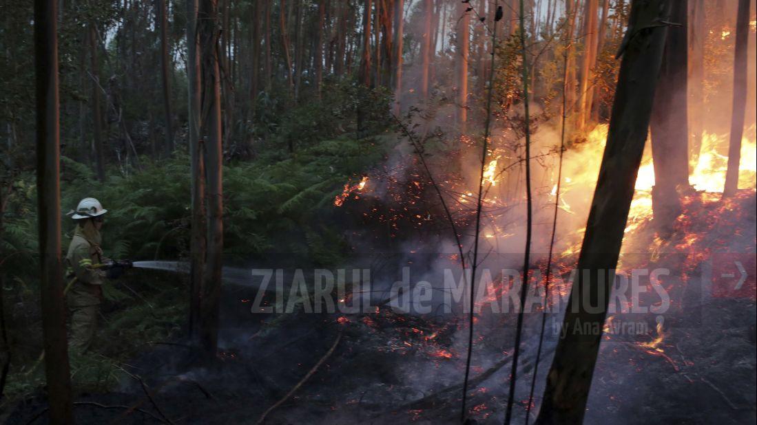 Un incendiu a distrus o suprafaţă de 7.000 de hectare de pădure în centrul Portugaliei