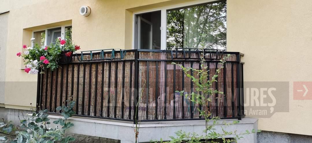O băimăreancă și-a montat pe balconul apartamentului o camera video ca să nu mai rămână fără jardinierele cu flori
