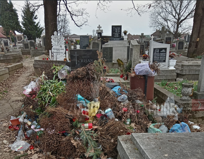 Baia Mare: Locuitorii din zona se plâng de gropile de gunoaie (FOTO)