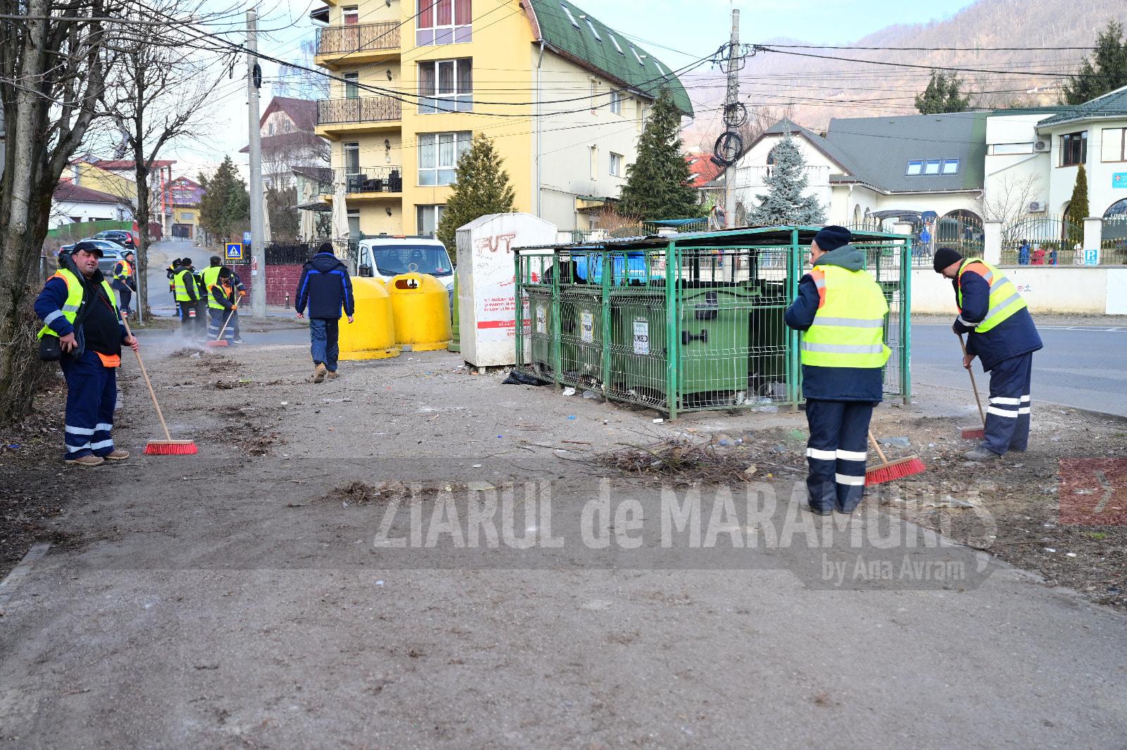 Colectarea deșeurilor vegetale a început în Baia Mare. Află programul!