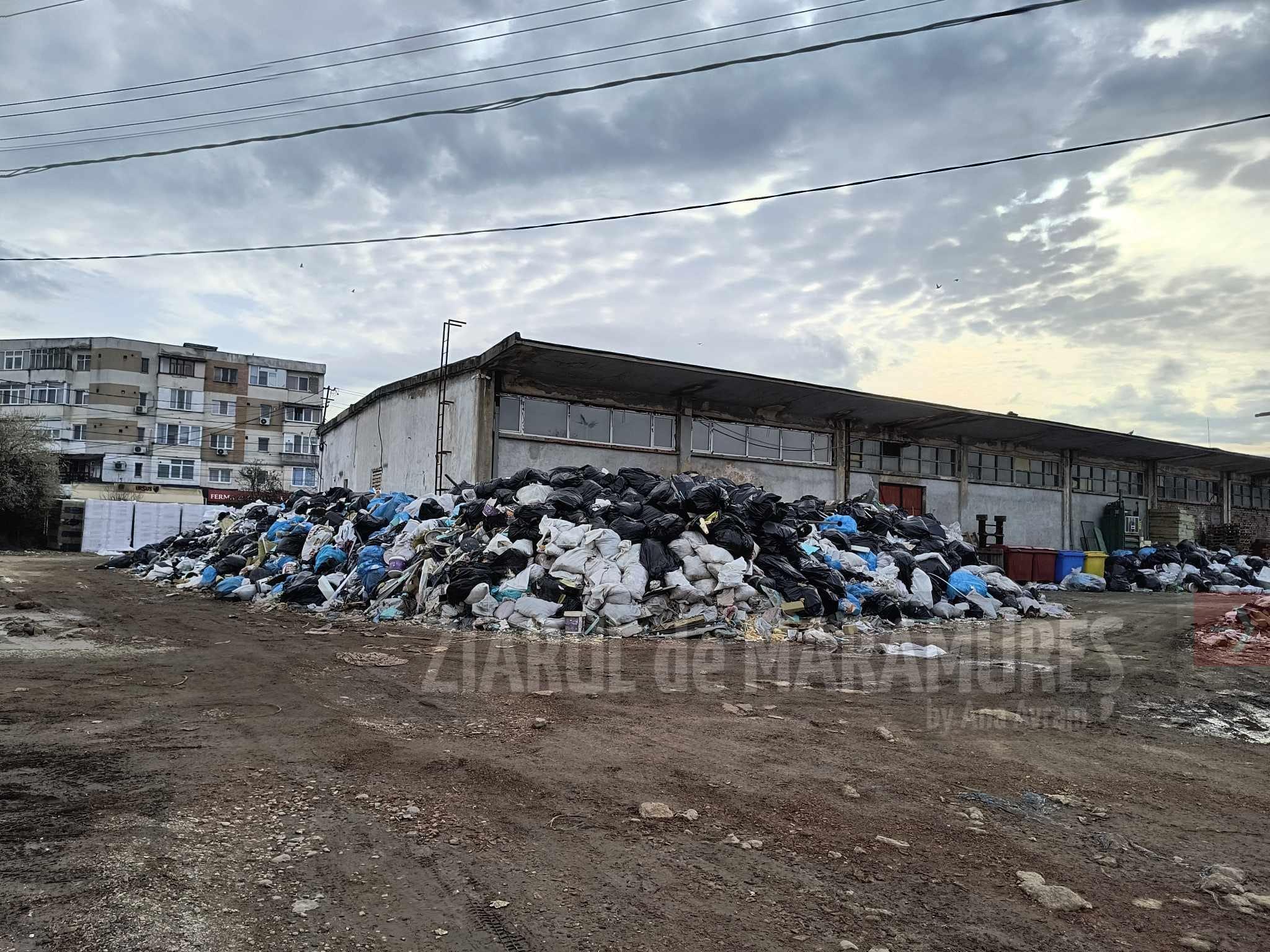Un munte de gunoaie crește semeț în spatele unui magazin din zona străzii Motorului din Baia Mare