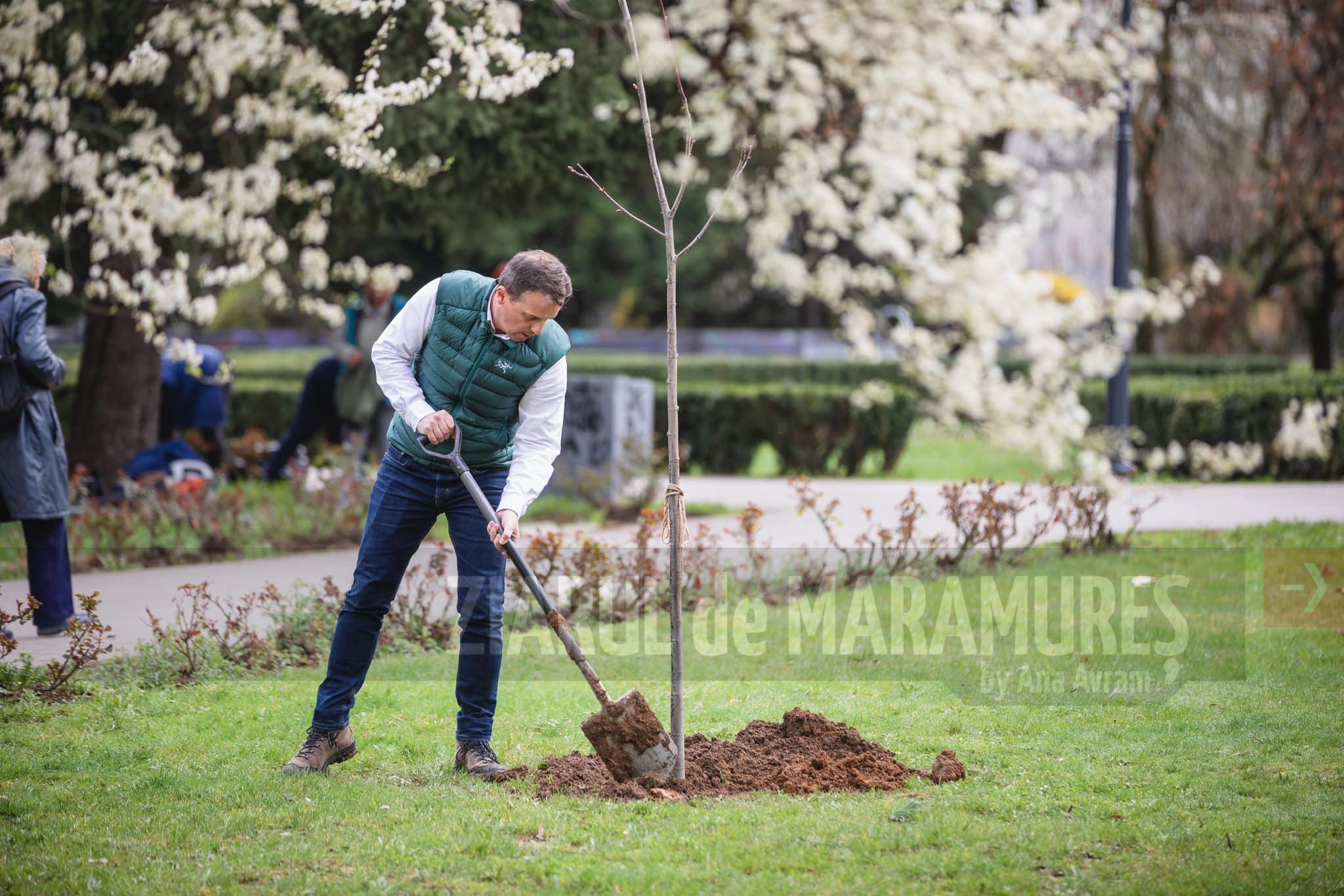 Primul copac plantat în Parcul Dacia. Se dă START campaniei de plantare în Municipiul Baia Mare