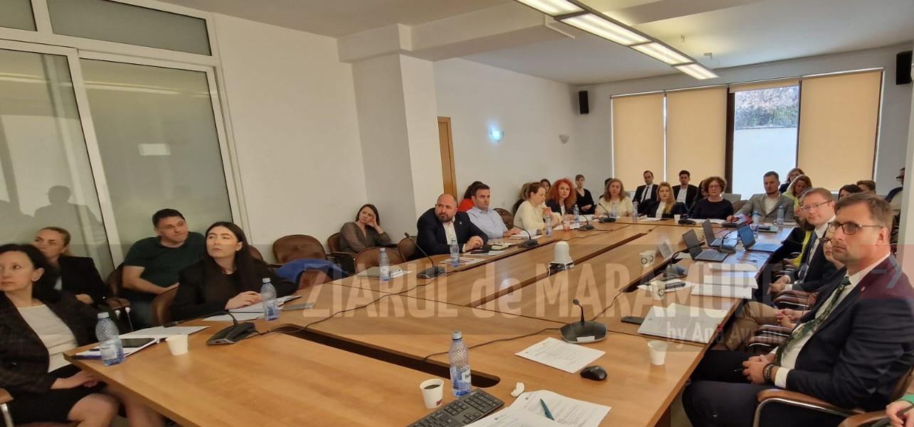 Acțiunile umanitare și de asistență pentru dezvoltare ale Județului Maramureș, factori de promovare și afirmare la nivel național și internațional