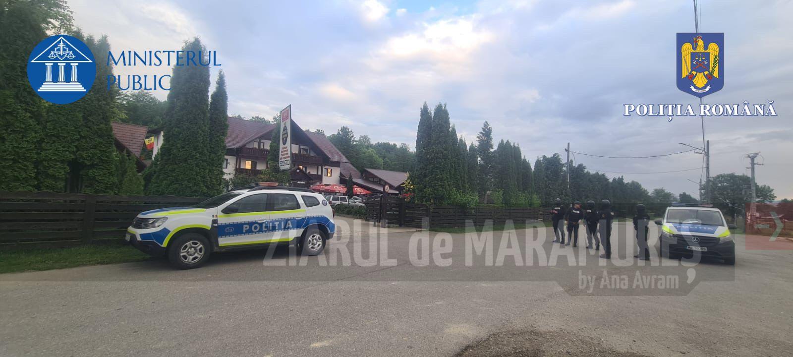 Șapte locuințe din Săpânța au fost verificate de polițiști. Patru persoane sunt bănuite de tăiere fără drept de arbori, furt de arbori