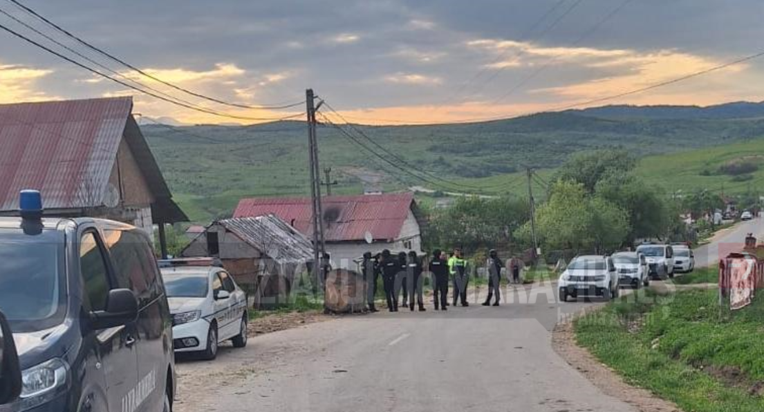 Polițiștii și jandarmii au făcut o razie în Ponorâta, Stârci și Nergheș, din zona Târgu Lăpuș