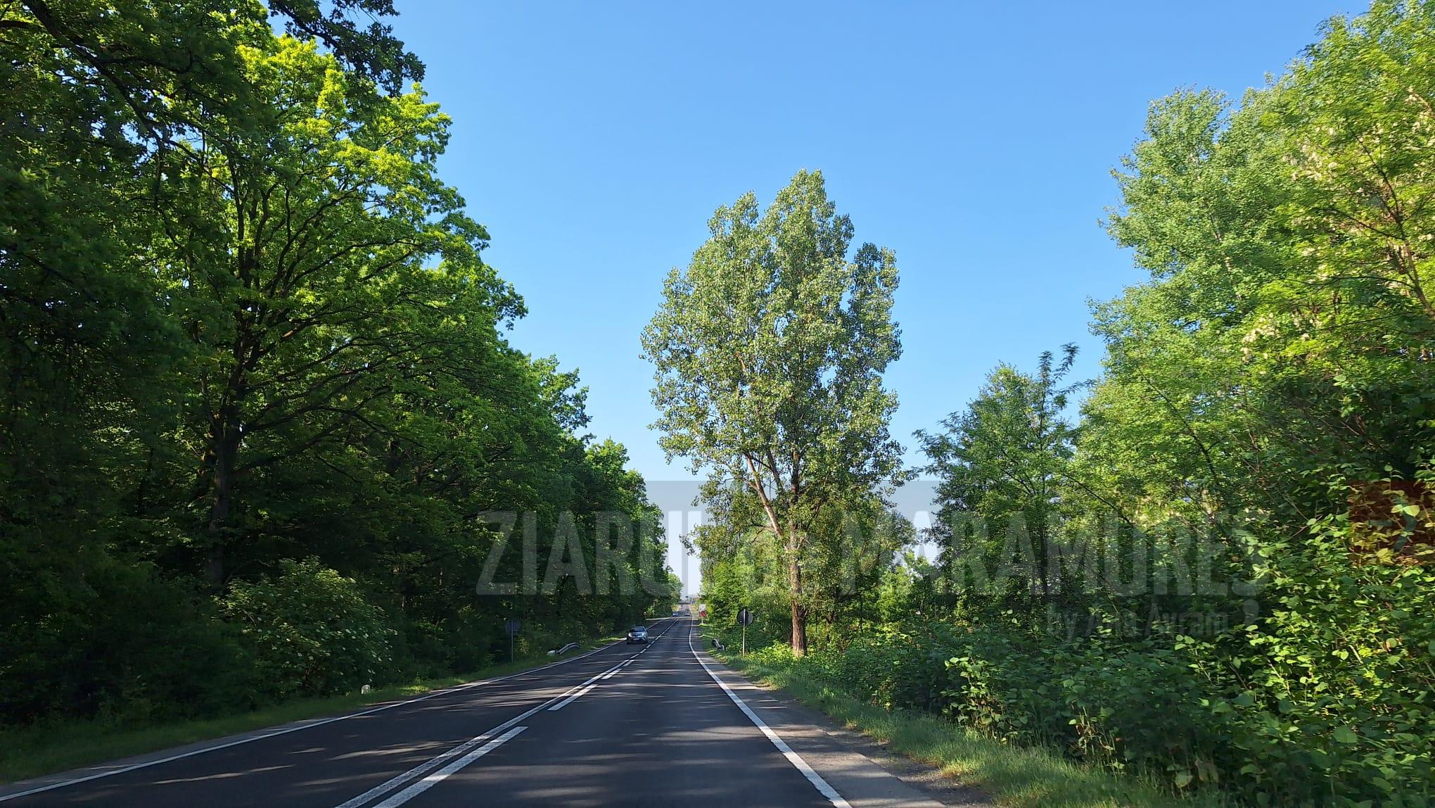 22 garde C maxima zilei de miercuri, 15 mai, în județul Maramureș