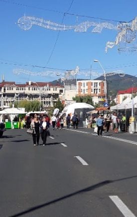 Arhivă-Sărbătoarea Castanelor