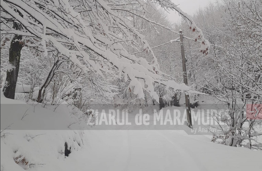 Peisaj feeric la Cavnic, Maramures