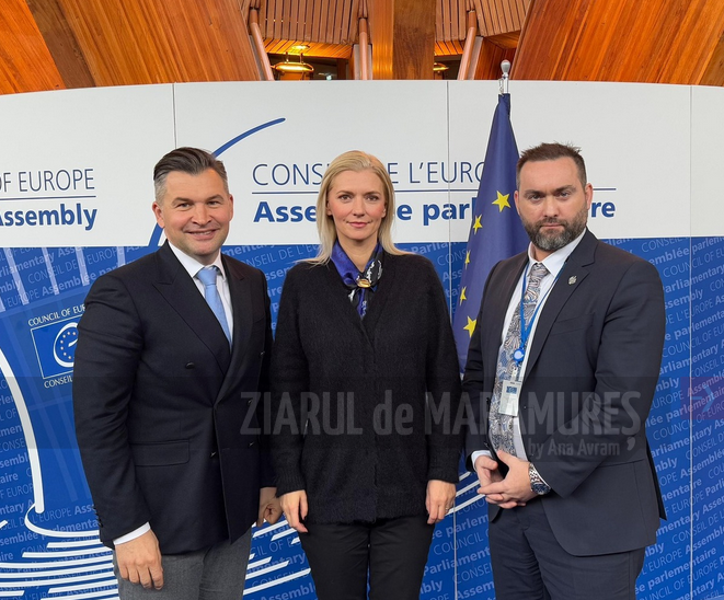 Decizie importantă pentru protecția avocaților în plenul APCE, cu senatorul Tagarlas.