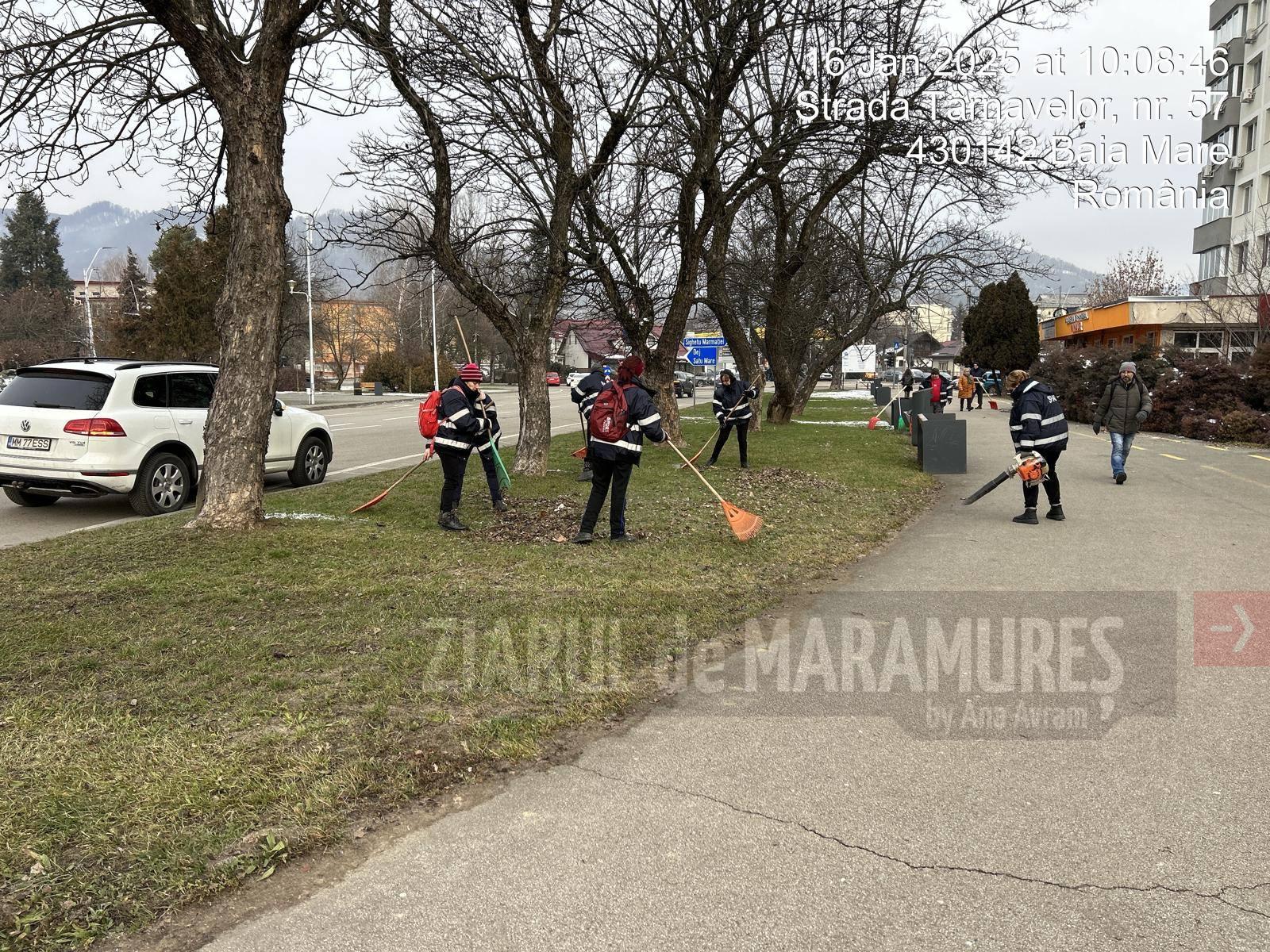 Marius Aoșan a pus SPAU Baia Mare în mișcare. Un lucru care ar fi trebuit făcut și de vechea conducere