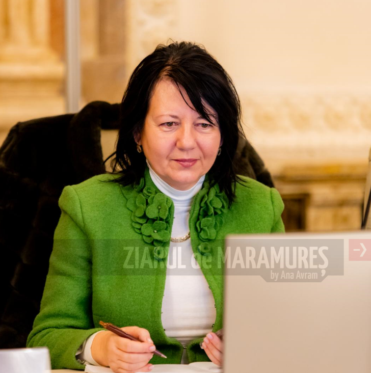 Crina Chilat, deputat PSD: Înțelegerea corectă a TVA este esențială pentru 2026.