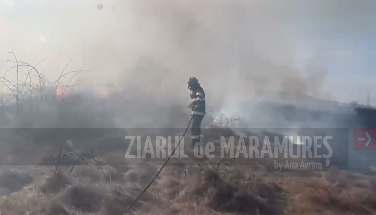 CJSU MM: Cum ne protejăm de incendii în zilele caniculare?