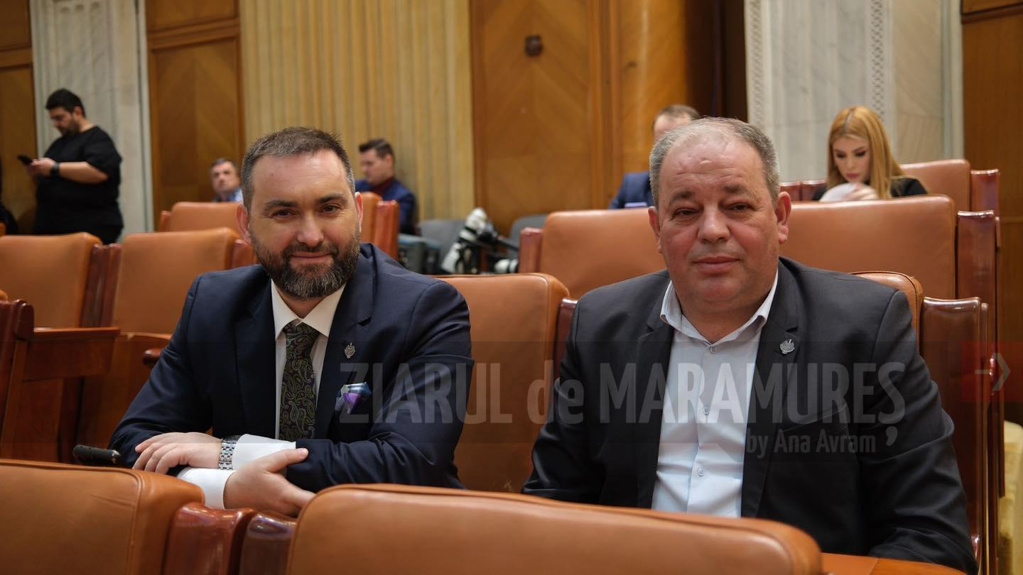 Senator Cristian Niculescu Țâgârlaș: Bugetul de stat adoptat este un buget pentru siguranță economică și reformă instituțională