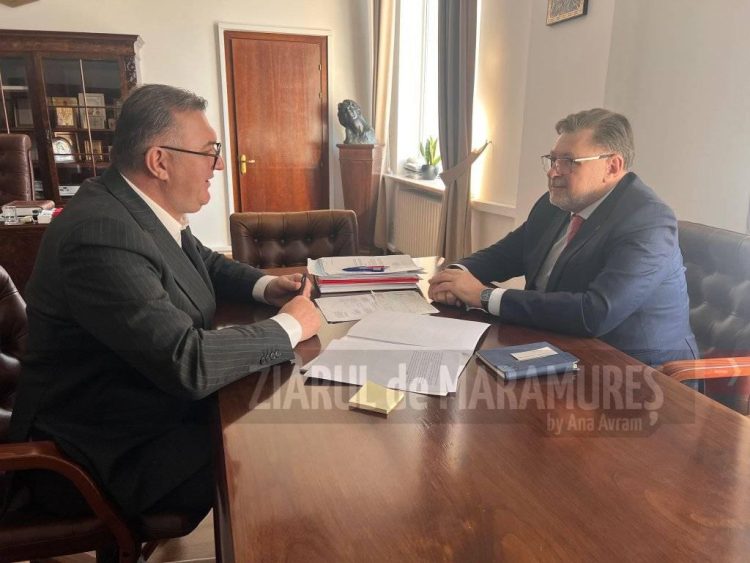 Senatorul social-democrat Sorin Vlașin a avut o întâlnire constructivă cu ministrul Sănătății Alexandru Rafila