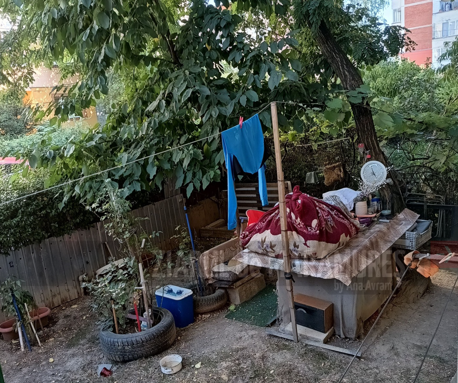 Un mister ascuns în spatele unui gard viu din Baia Mare