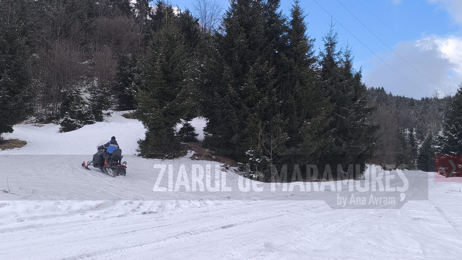 În opt minute, jandarmii au găsit un bărbat care s-a rătăcit într-o pădure din apropierea orasului Sighetu Marmației