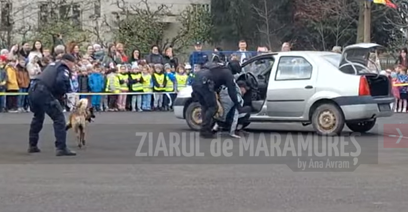 (VIDEO)Prinderea unor infractori, coborare in rapel si demonstatia cainilor de serviciu. La multi ani, Jandarmeria Maramures!