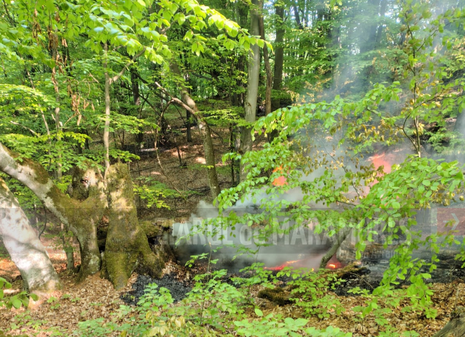 Pompierii au descoperit patru focare în pădurea din zona Ruoaia, comuna Lăpuș.