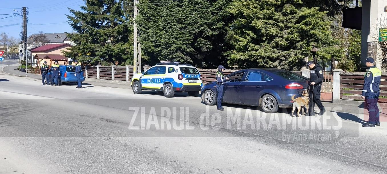 20 de autovehicule vreificate de polițiștii din Târgu Lăpuș și Suciu de Sus
