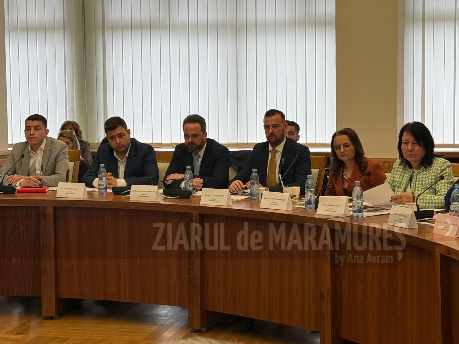 Daniel Ciornei, deputat AUR: “E nevoie doar de voință politică pentru ca problemele Maramureșului să fie rezolvate”