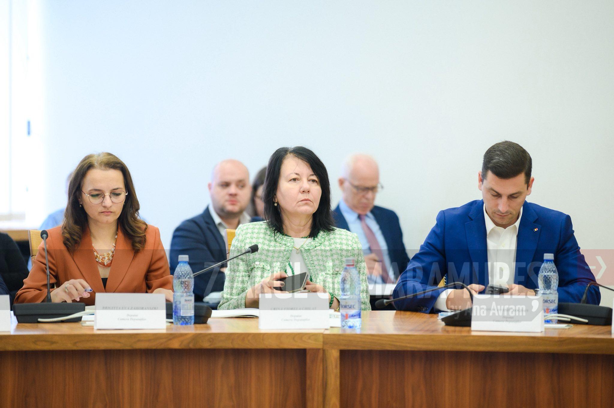 Deputat Crina Chilat a fost prezentă la comisia de lucru unde au participat reprezentanți ai societății civile și sindicale