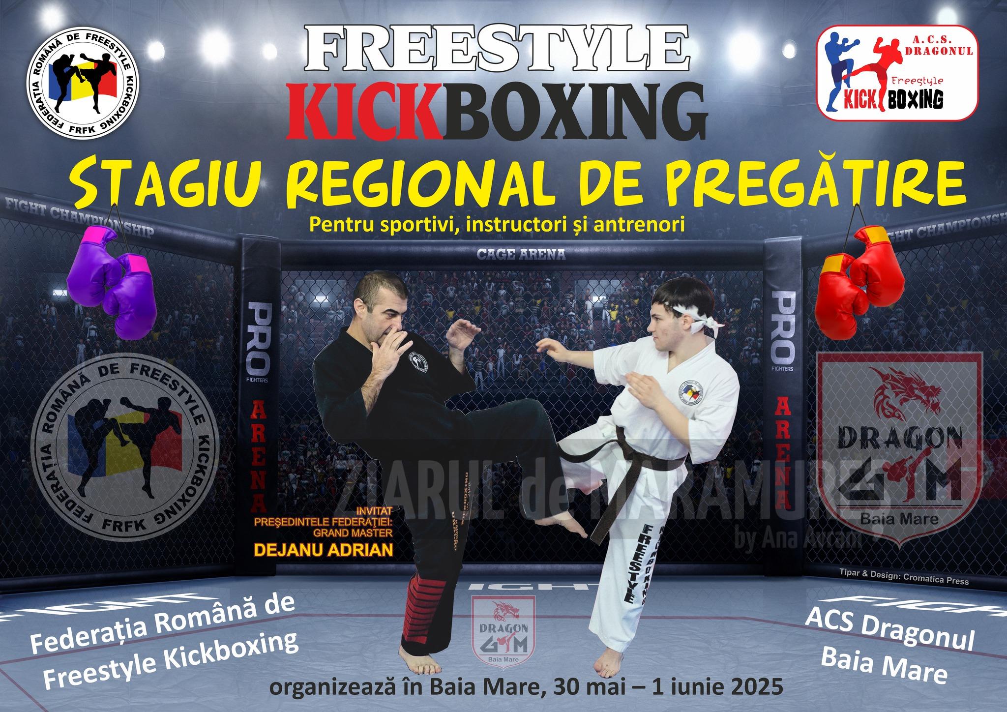 Stagiu regional de freestyle kickboxing. Evenimentul se desfășoară în municipiul Baia Mare