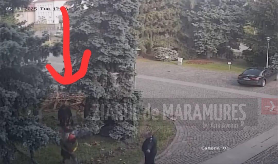 Trei bărbați surprinși în încercarea de a fura tabla de cupru de la Palat.