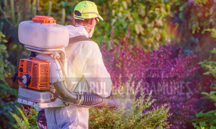 ANUNȚ. De azi, 5 mai 2025, SPAU Baia Mare începe dezinsecția terestră împotriva ţântarilor şi căpuşelor