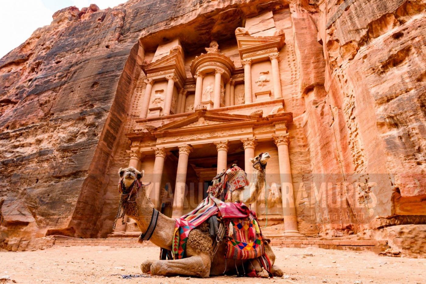 Explorează farmecul Iordaniei într-o excursie de neuitat cu Sfara Tours!