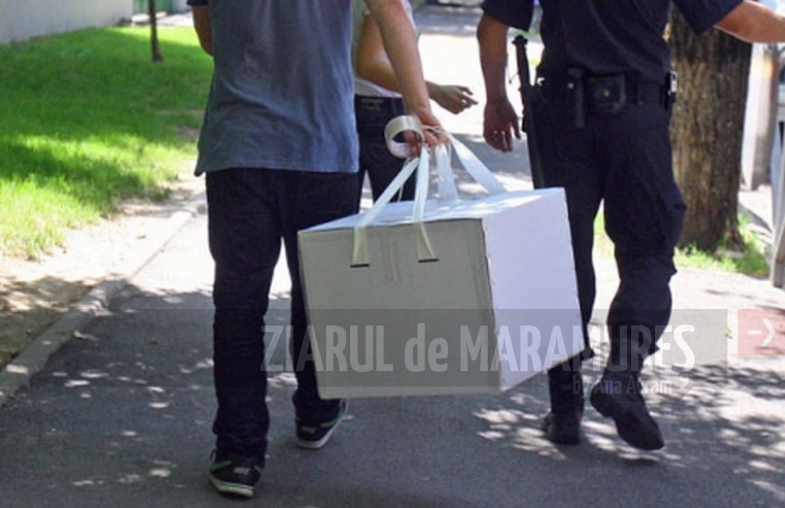 BEJ Maramureș: Votul prin urna specială, o oportunitate pentru toți alegătorii