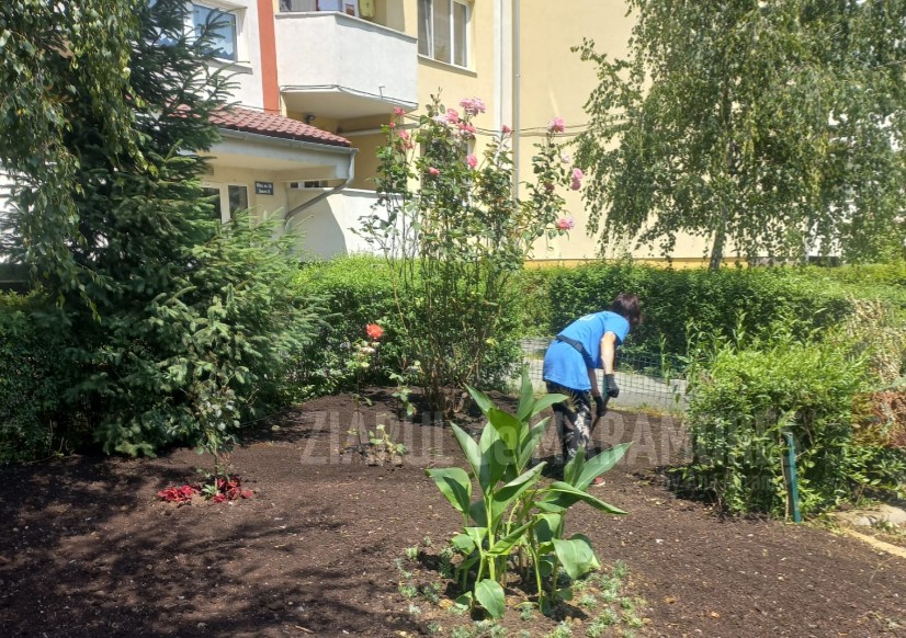 Alte trei mini părculețe de cartier realizate si finalizate de SPAU Baia Mare