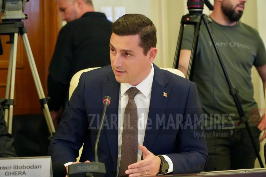 Deputatul Ionel Bogdan este coinițiatorul a două proiecte de lege care vin în sprijinul victimelor violenței domestice