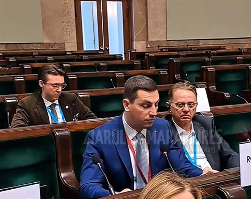 Deputatul Ionel Bogdan a prezentat poziția delegației române din Camera Deputaților privind politica de extindere a UE