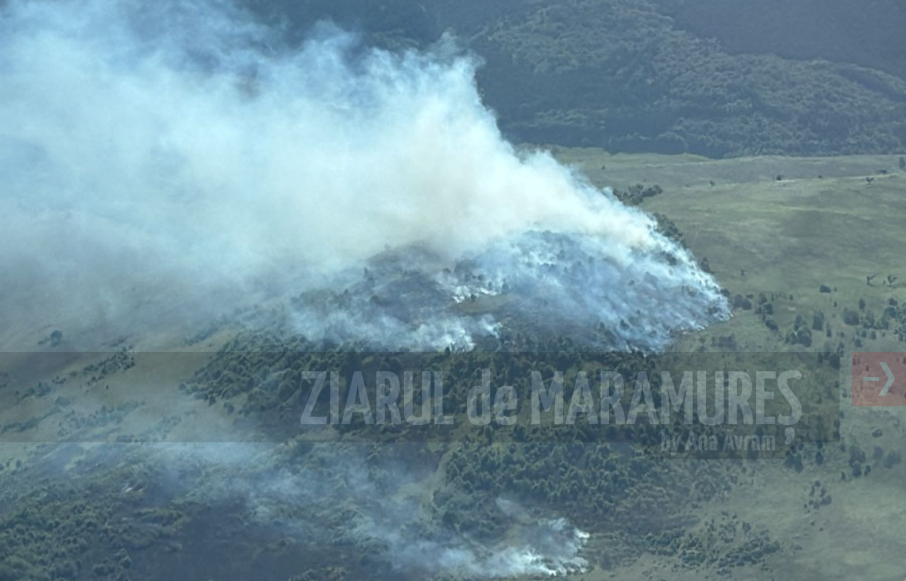 Aproximativ 100 de hectare afectate de un incendiu de vegetație uscată și litieră pe raza UAT Săpânța