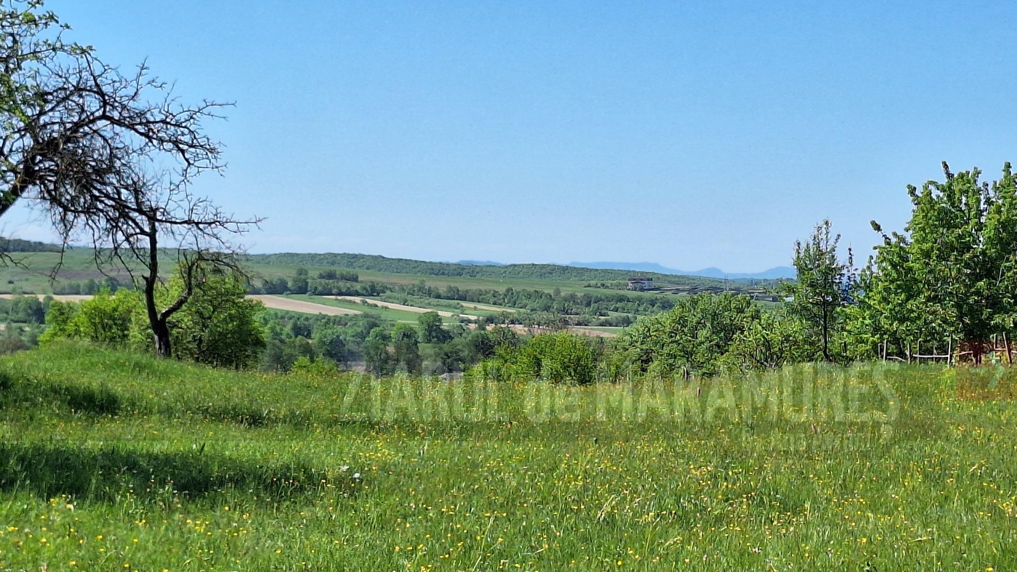 MM. Maxima zilei de azi, 21 august, este de 31 grade C; pe timpul nopții sunt anunțate ploi