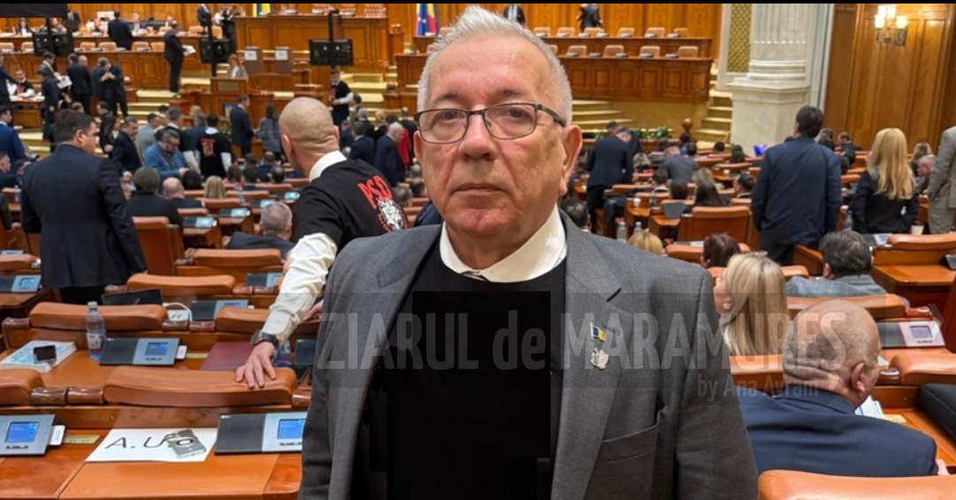 Senator AUR, Costache Chertif: Sancțiuni severe pentru cei care hrănesc urșii. Vânătoarea ar trebui să crească.